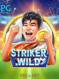Descubra o Excitante Mundo de StrikerWILD e BR69.BET